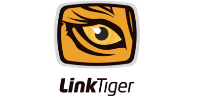 iBATIS development Linktiger outsourced development of software product to Redwerk's programmers