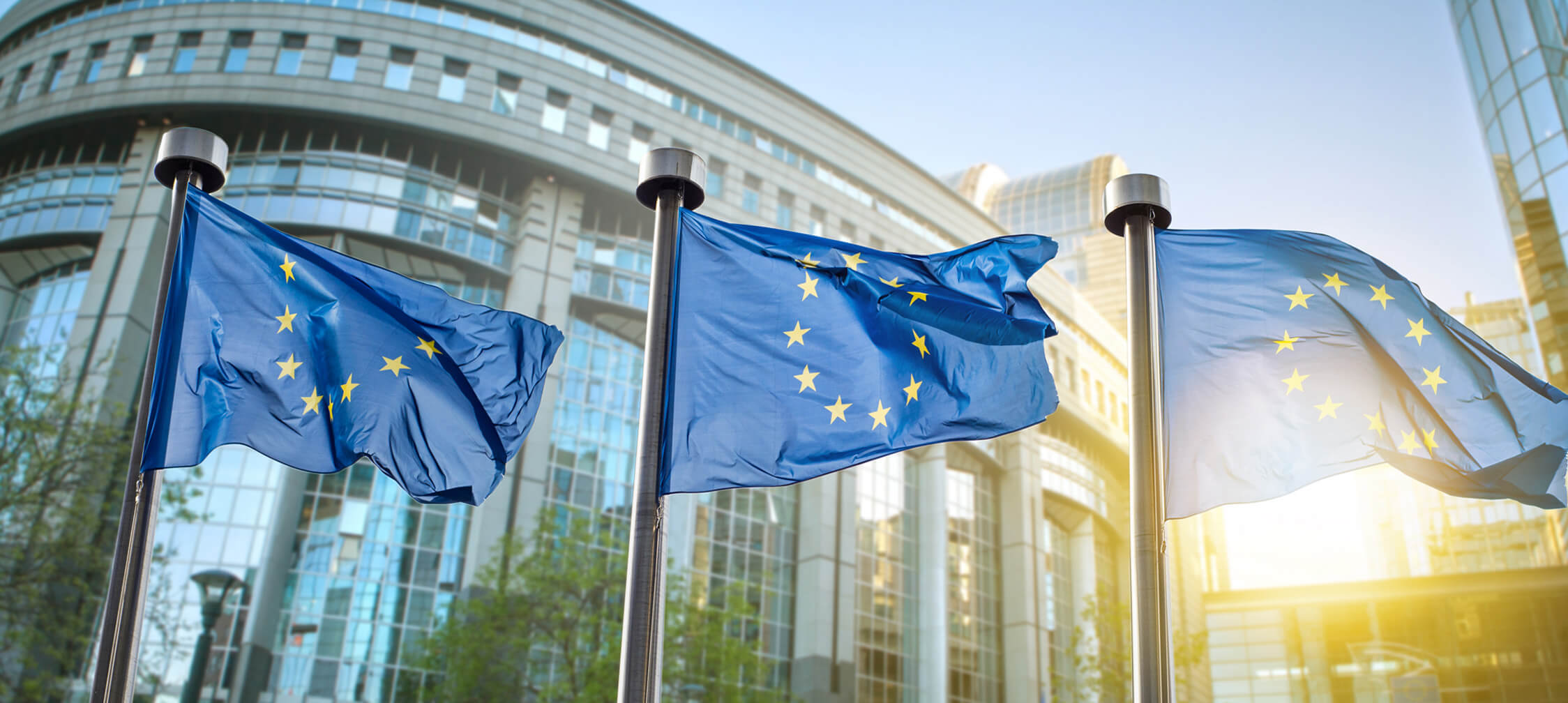 Redwerk dans le développement de logiciels pour le Parlement européen